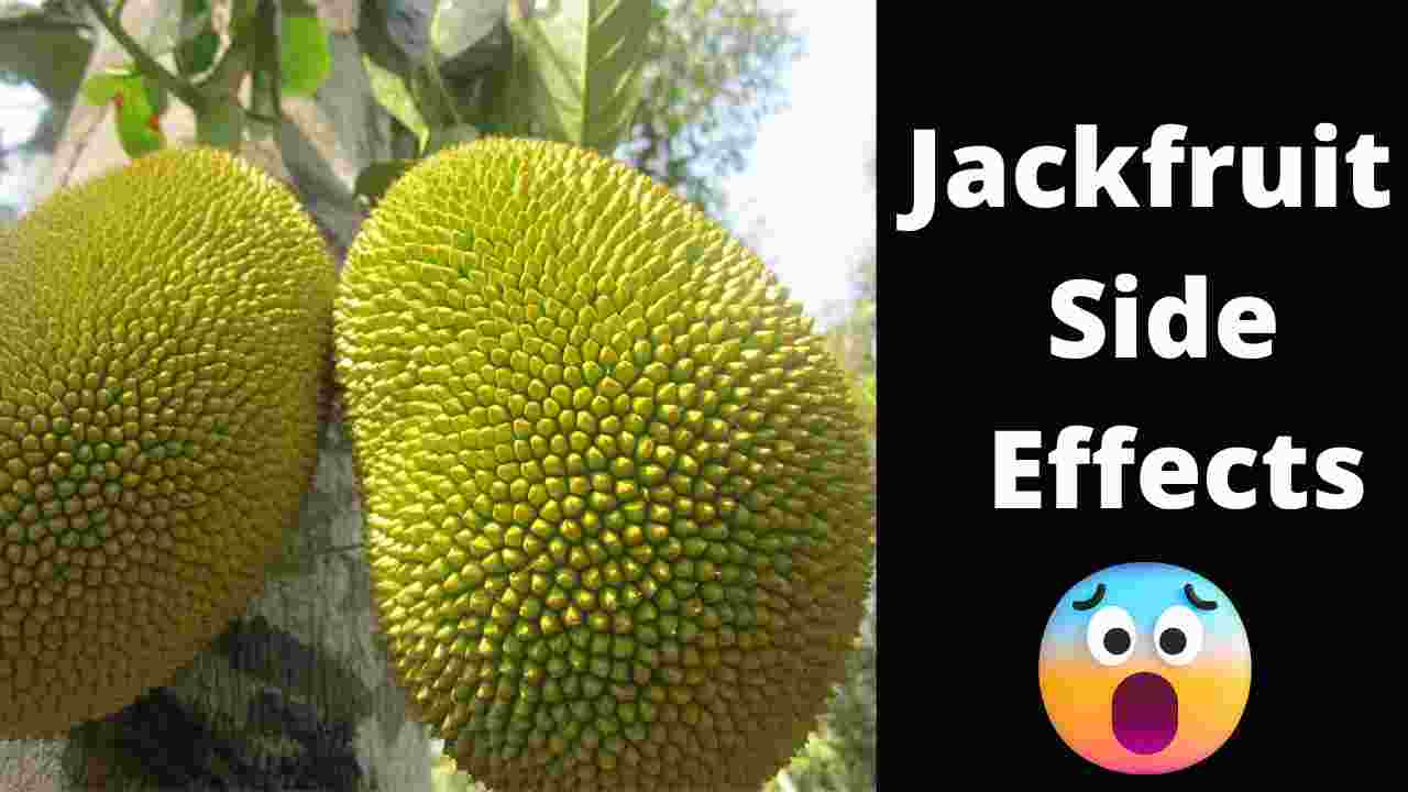 Jackfruit Side Effects