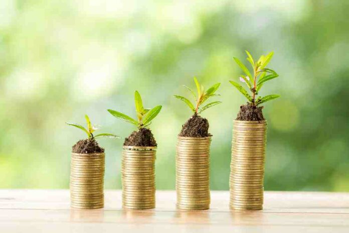 Investment Tips