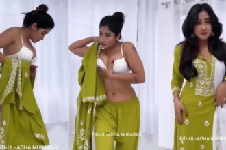 सोफिया अंसारी